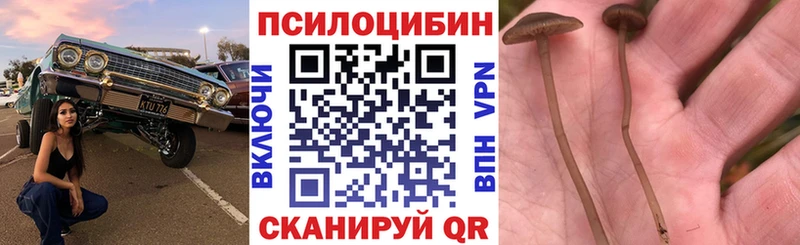 Галлюциногенные грибы прущие грибы  Ужур 